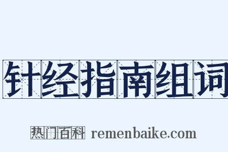 针经指南组词是什么意思的图片